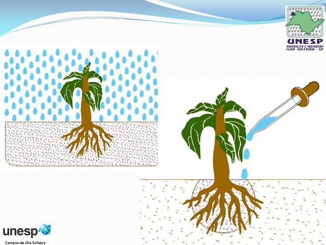 fernandopolis_25abr2012 (11).JPG